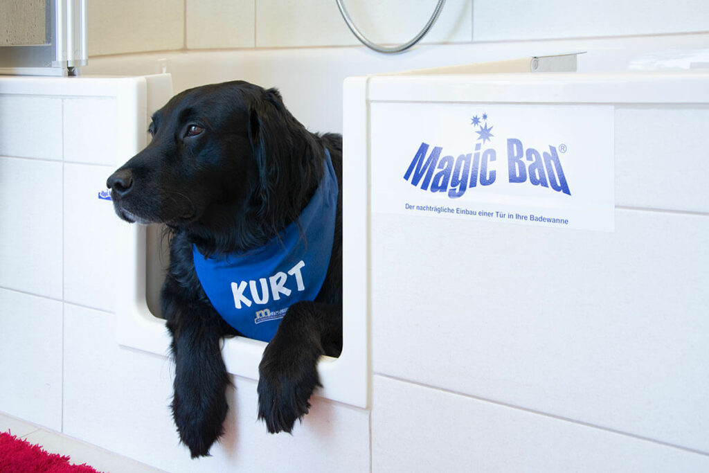 Kurt ist der Hund bei Installateur Marvan und testet hier den Einstieg in eine der Duschen.
